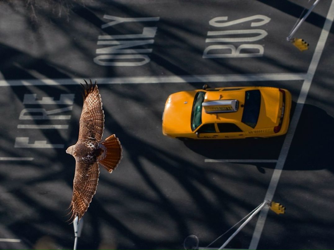 Дмитрий Щур фотография #11