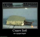 Фотография Шафрана Кирилла