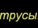 Іван Пасуль фотография #33 (источник - https://vk.com/id118172088)
