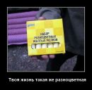 Фотография Ухова Никиты