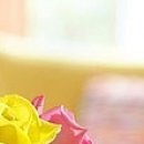 Саша Фаєвський фотография #7 (источник - https://vk.com/id57715861)