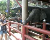 Фотография Семенчук Зины