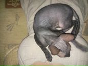 Фотография Суздалевой Ольги