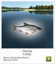 Ріхард Козьма фотография #33 (источник - https://vk.com/id133594969)