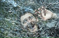 Фотография Забелина Алексея