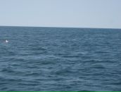 Юрик Тарацінський фотография #5 (источник - https://vk.com/id26680834)