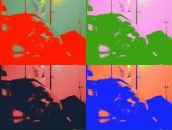 Фотография Афонина Геннадия