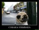 Віталік Вольт фотография #38 (источник - https://vk.com/id2228781)