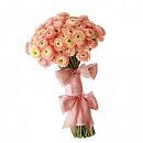 Аліска Наумчук фотография #3 (источник - https://vk.com/id87969834)