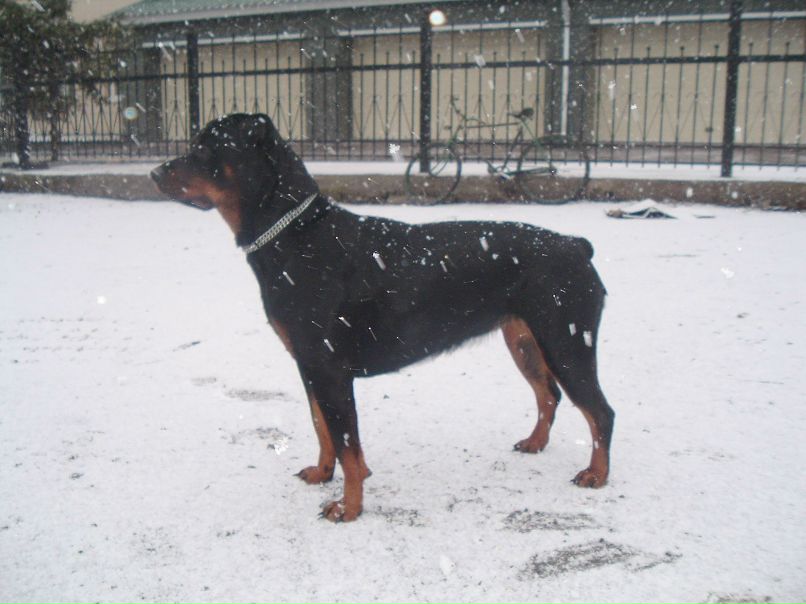 Наталья Мищенко фотография #45