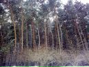 Віктор Toret фотография #18 (источник - https://vk.com/id28725861)