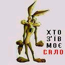 Вадім Сольоний фотография #6 (источник - https://vk.com/id160630284)