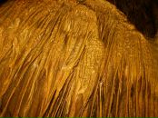 Иван Просоедов фотография #14 (источник - https://vk.com/id12433172)