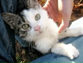 Сергій Козленко фотография #18 (источник - https://vk.com/id8482596)