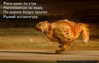 Світлана Краснопольська фотография #47 (источник - https://vk.com/id4002372)