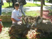 Фотография Шевченко Евгении