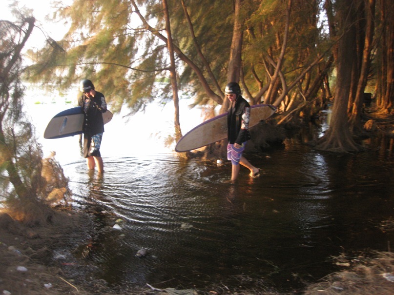 Дмитрий Плотко фотография #3