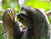 Фотография Новосёлова Артура