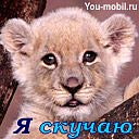 Міша Романюк фотография #35 (источник - https://vk.com/id80403807)