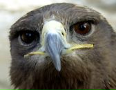 Фотография Савченко Маргариты