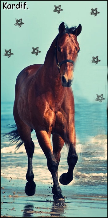 Дима Димкович фотография #3