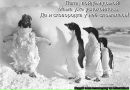 Фотография Анисимовой Софии