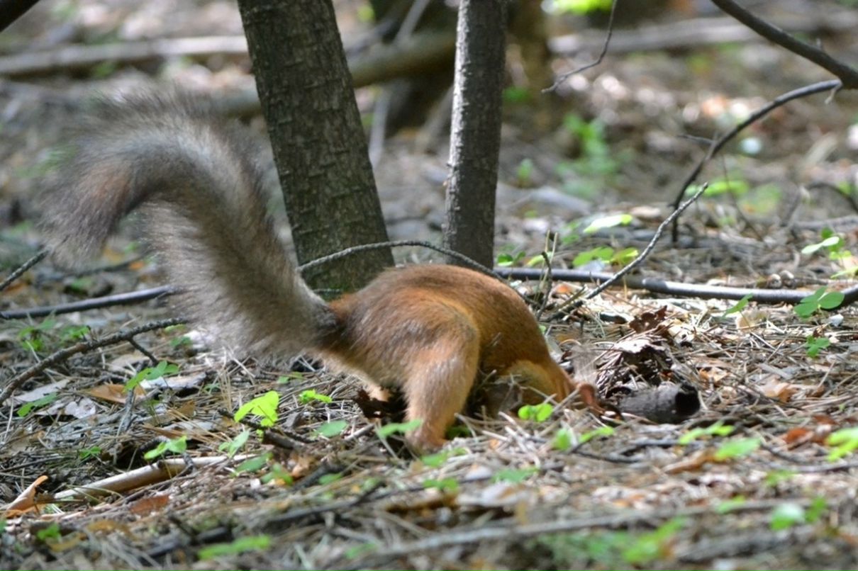 Константин Басалаев фотография #47