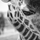 Фотография Кравченко Марины