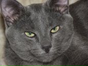 Фотография Гирёвой Юлии