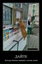 Дмитрий Зацепин фотография #12 (источник - https://vk.com/id2664635)
