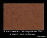 Фотография Кругликова Дмитрия