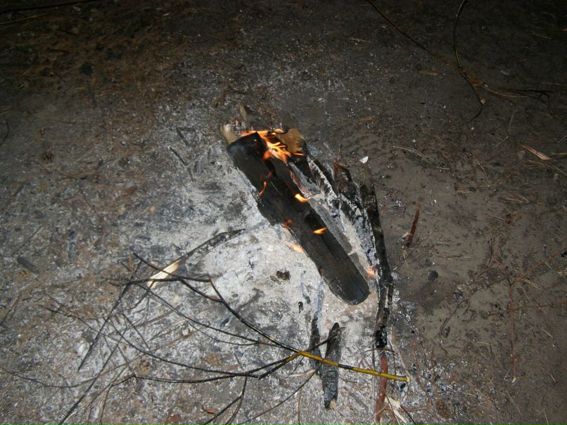 Александр Лёвин фотография #48