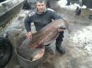Сергій Куксенко фотография #25 (источник - https://vk.com/id115799706)