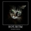 Фотография Школдина Андрея