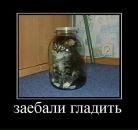 Фотография Свечниковой Еньки