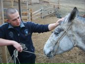 Фотография Назарова Константина