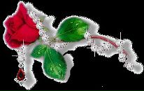 Наталія Цуркановська фотография #22 (источник - https://vk.com/id578045)