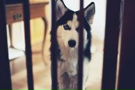 Діанка Дацюк фотография #1