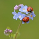 Фотография Семёновой Екатерины