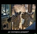 Ігор Сірацький фотография #36 (источник - https://vk.com/id62630484)