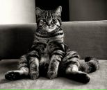 Фотография Петровой Екатерины