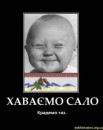 Андрій Волинець фотография #27 (источник - https://vk.com/id49555492)