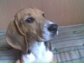 Саня Власенко фотография #1