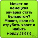 Віталік Драгущак фотография #18 (источник - https://vk.com/id138881853)