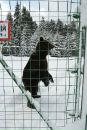 Юрій Маслей фотография #2 (источник - https://vk.com/id140619352)