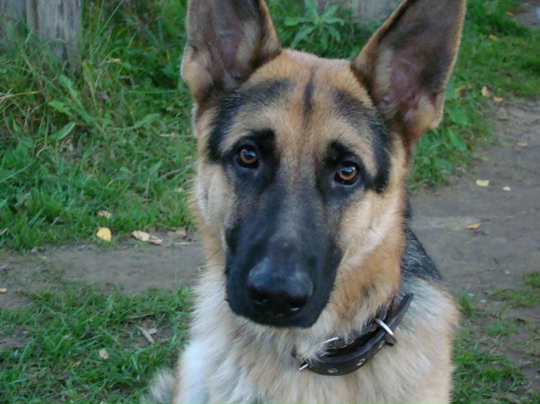 Андрей Кубышкин фотография #48