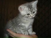 Фотография Кисиной Веры