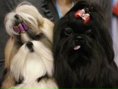 Таня Сагіна фотография #49 (источник - https://vk.com/id73195959)