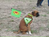 Даша Урман фотография #23 (источник - https://vk.com/id22663)