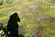 Фотография Яковлева Андрея